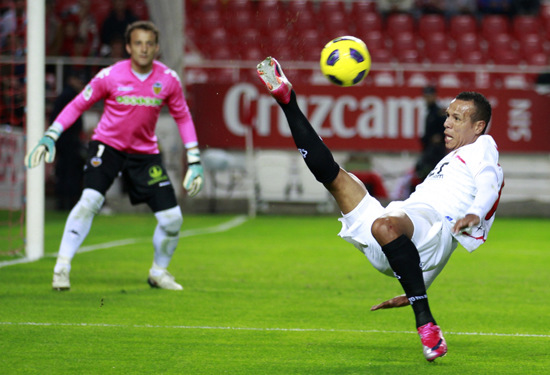 本届日本熊 本届日本熊